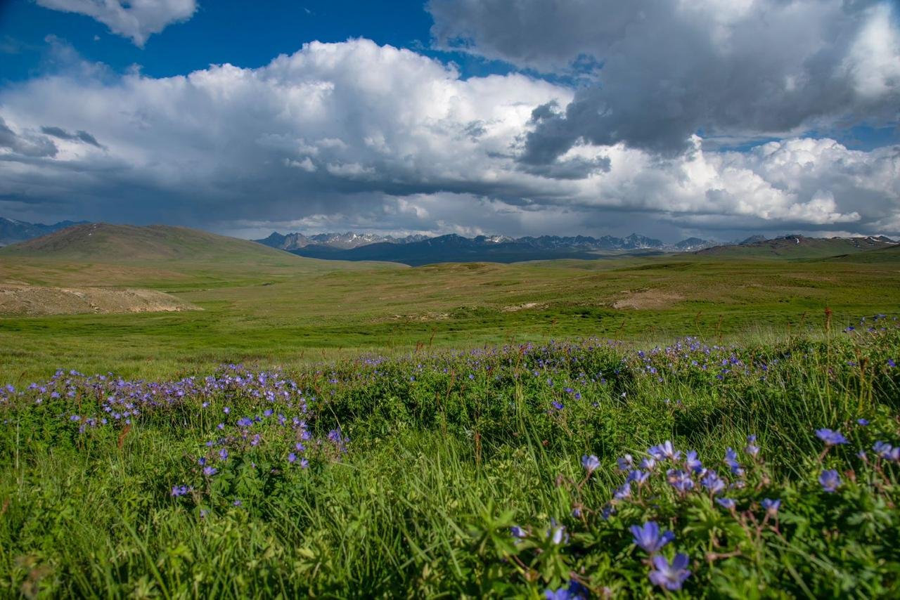 Deosai Plains